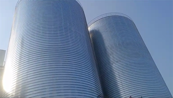 鱼台2座混凝土高架卷板仓